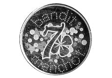 Médaille Bandit Manchot - bijouterie R - origine du nom de la marque