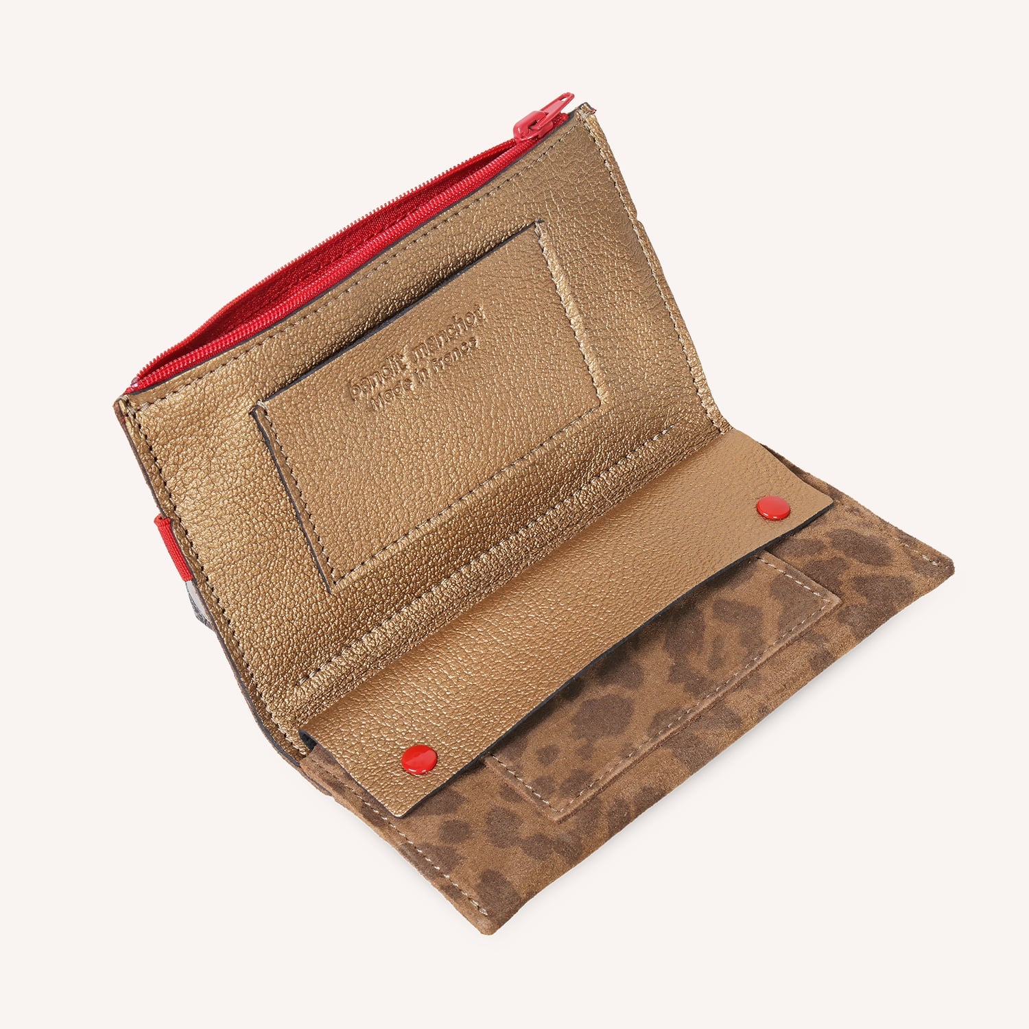 compagnon siamoise zippee l bleu